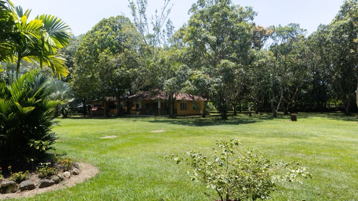 Zona de descanso al aire libre con hamacas en Finca San Luis